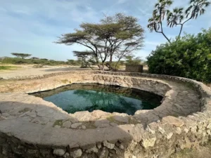 Tourist Attractions, Places To Stay, Things To Do & Best Places To Visit In Samburu County • Naicef Isiolo tourist attractions, Best places to visit in Isiolo with friends, Things to do in Isiolo County, Places to stay in Isiolo, Where is Isiolo located in Kenya. Buffalo Springs National Reserve, Buffalo Springs National Reserve Kenya, Buffalo Springs Trail, Samburu Buffalo Springs National Reserve, Buffalo Springs National Reserve Fees.Best Places to visit in Samburu County, Best Things to do in Samburu Kenya, Best Tourist attractions in Samburu, Best places to stay in Samburu County, Best time to visit Samburu County