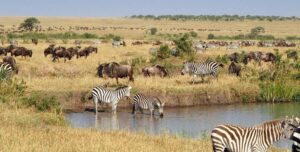 Mother's Day, Best things to do on Mother's Day in Nairobi, Best places for Mother's Day Kenya, Mother's day gifts in Kenya