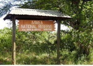 2025 Best Places To Visit In Embu County & Things To Do- Naicef • Naicef  Tourist attractions in Embu County Best places to visit in Embu County Best things to do in Embu County Best times to visit Embu County Best places to stay in Embu County