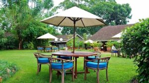 Best Places To Visit In Murang’a County, Tourist Attractions & Things To Do • Naicef Mwea National Reserve, Mwea National Reserve attractions, Mwea National Reserve activities, Mwea National Reserve entrance fee, Mwea National Reserve accommodations. Best places to visit in Murang'a County, things to do in Murang'a County, tourist attractions in Murang'a County, Best time to visit Murang'a County, accommodations in Murang'a County