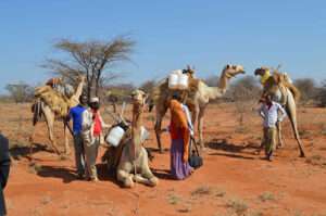 Places to visit in Garissa, Top 10 attractions in Garissa places, What to do in Garissa, Where is Garissa County located, Hotels in Garissa County