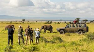 3-Day Masai Mara Dust and Drive Safari Package - Naicef • Naicef Safari Wellness, Safari wellness benefits, Safari wellness destinations, Adventure Safaris, Safari hotels in Kenya. Wellness travel destinations, top wellness tourism destinations, wellness trip, wellness destinations, wellness travel trend. Masai Mara Self Drive, Masai Mara tours, Game Drive in Masai Mara, Masai Mara Self Drive Safari, Masai Mara 3-day package