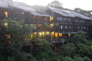 Shimba Hills National Reserve, Shimba Hills National Reserve attractions, Shimba Hills National Reserve activities, Shimba Hills National Reserve accommodations, Shimba Hills National Reserve entrance fees