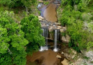 Best Places To Visit, Things To Do & Tourist Attractions In Kwale County • Naicef Tourist attractions in Kwale county, Best places to visit in Kwale county, Best time to visit Kwale county, Things to do in Kwale county, Accommodations in Kwale county