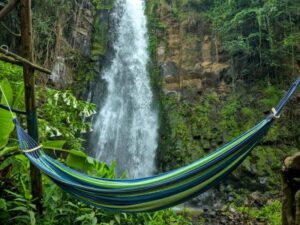 Things To Do, Places To Stay & Tourist Attractions In Kirinyaga County • Naicef Best Places To Visit In Kirinyaga County, Things To Do In Kirinyaga, Tourist Attractions In Kirinyaga County, Hotels In Kirinyaga, Camping Sites In Sagana