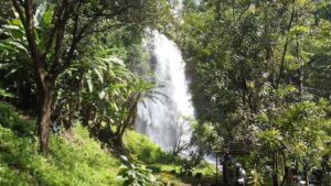 Tourist Attractions in Kirinyaga County, Things to do in Kirinyaga, Places to visit in Kirinyaga, Hotels in Kirinyaga, Camping sites in Sagana