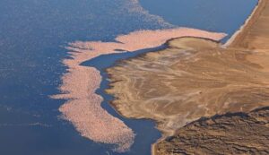 5 Days Lake Logipi Self Drive Safari Tour Package • Naicef 5 days Lake Logipi Self drive safari tour, Off road safari, Self drive Africa safari, Self drive safari tour, Kenya safari self drive