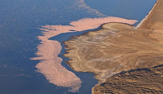 5 days Lake Logipi Self drive safari tour, Off road safari, Self drive Africa safari, Self drive safari tour, Kenya safari self drive