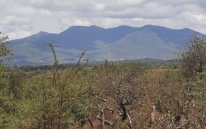 Things To Do,Tourist Attractions & Best Places To Visit In Vihiga County • Naicef Best Places To Visit In Vihiga County, things to do in Vihiga County, tourist attractions in Vihiga County, best time to visit Vihiga County, accommodation in Vihiga County