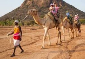 The 5 Best Places To Visit in Turkana County, Things to Do, & Places To Stay • Naicef Best Places to Visit in Turkana, Best Things to Do in Turkana, Best Tourist Attractions in Turkana Kenya, Best Time to Visit Turkana, places to stay in Turkana