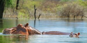 Best places to visit in Baringo County, Best things to do in Baringo County, Best tourist attractions in Baringo County, Best places to stay in Baringo County, Best time to visit Baringo County