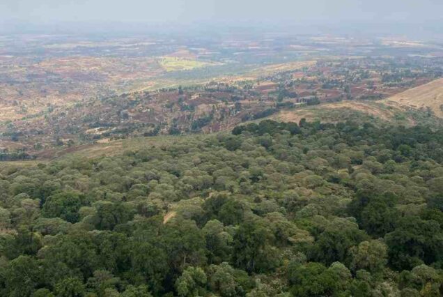 Best places to visit in Trans Nzoia County, Things To Do In Trans Nzoia, Tourist Attractions in Trans Nzoia County, Places To Stay In Trans Nzoia County, Best Time To Visit In Trans Nzoia County. Luxury Mt Elgon Tour Package, Private 5-Day Mt Elgon Tour Package, Exclusive Mt Elgon Camping Experience, Personalised Mt Elgon National Park Trails, Luxury Mt Elgon National Park Tours