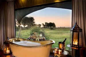 Best Time To Visit Safaris In Kenya | Wildlife, Luxury, Family 2025 Guide • Naicef Best time to visit Kenya safari, Best time to visit Kenya on safari, Kenya wildlife safari best time to visit, Best time of year to visit Kenya for safari, Best time to visit Kenya for safari