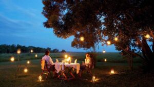 Best Time To Visit Safaris In Kenya | Wildlife, Luxury, Family 2025 Guide • Naicef Best time to visit Kenya safari, Best time to visit Kenya on safari, Kenya wildlife safari best time to visit, Best time of year to visit Kenya for safari, Best time to visit Kenya for safari