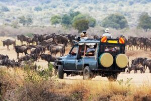 10 Best Tips on What To Pack For A Safari In Kenya - Naicef • Naicef Kenya wildlife safari, Kenya wildlife safari packages, Kenya wildlife migration,Kenya wildlife safari tour,Kenyan wildlife safari packages.What to pack for a safari in Kenya, what to wear on a safari to Kenya, Packing list for Maasai mara, clothes to wear in safari Kenya, what not to wear on a safari in Kenya.