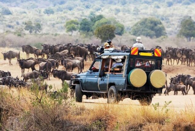 Kenya wildlife safari, Kenya wildlife safari packages, Kenya wildlife migration,Kenya wildlife safari tour,Kenyan wildlife safari packages.Best Luxury safaris in Kenya, Luxury Kenya safari tours, Kenya luxury safari packages, Luxury safari packages, Luxury safari in Kenya. best tour companies in Kenya, Tour Companies Nairobi, Best safari companies in Kenya, Best safari tour operators in Kenya, Tours and Safaris companies in Kenya. Digital Nomad Kenya, Kenya digital nomad visa, Digital nomad best places, Work and travel Kenya, Best coworking spaces in Nairobi.3 Day Safari Serengeti Ngorongoro, Safari Serengeti Ngorongoro, 3 Days Serengeti and Ngorongoro, 3 Day luxury safari Serengeti Ngorongoro, 3 Days Ngorongoro Safari