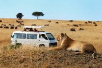 Kenya wildlife safari, Kenya wildlife safari packages, Kenya wildlife migration,Kenya wildlife safari tour,Kenyan wildlife safari packages. Best Luxury safaris in Kenya, Luxury Kenya safari tours, Kenya luxury safari packages, Luxury safari packages, Luxury safari in Kenya