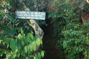 2025 Best Places, Attractions & Things To Do in Kakamega County- Naicef • Naicef Places to visit in Kakamega, things to do in Kakamega, tourist attractions in Kakamega, best hotels in Kakamega, best time to visit Kakamega