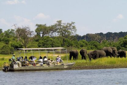 Top Sustainable Safari Tours In Kenya | Eco-Friendly Packages & Lodges 2025