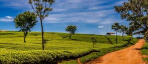 things to do in Nandi, places to visit in Nandi Hills, tourist attractions in Nandi, Destinations in Nandi, Places to stay in Nandi