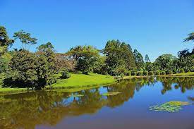 Tourist Attractions, Things To Do & Best Places To Visit In Siaya County • Naicef things to do in Nandi, places to visit in Nandi Hills, tourist attractions in Nandi, Destinations in Nandi, Places to stay in Nandi. Best Places to Visit in Siaya County, Things to do in Siaya Kenya, Tourist attractions in Siaya County, Best places to stay in Siaya County, Best time to visit Siaya County