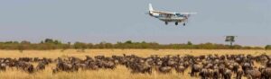 African aerial safaris, fly-in safari tours, luxury lodges air safari, Mombasa air safari destinations, Kenya safari on hot air balloon. Masai Mara luxury safari, Luxury safari Kenya Masai Mara, Masai Mara Luxury Safari Kenya, Masai Mara 3 days 2 nights, Masai Mara Luxury lodge