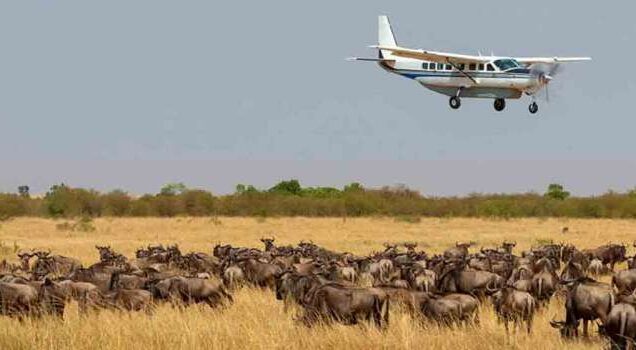 African aerial safaris, fly-in safari tours, luxury lodges air safari, Mombasa air safari destinations, Kenya safari on hot air balloon. Masai Mara luxury safari, Luxury safari Kenya Masai Mara, Masai Mara Luxury Safari Kenya, Masai Mara 3 days 2 nights, Masai Mara Luxury lodge. Masai Mara Amboseli Safari, Masai Mara luxury safari packages, Masai Mara luxury safari lodge, 2 Days Amboseli safari, Luxury lodge in Amboseli. 3 Days Serengeti fly in safari, 3 day luxury safari Serengeti, Serengeti 3, 3 day safari Serengeti, 3 day Serengeti safari. 3-Day Samburu Safari walking tour in Kenya, Exclusive Safari walking tours, Personalised African Safari walking tours, Private Walking safari tours, Luxury Multi-day walking safari tours. best conservancies in Kenya, conservancies in Kenya, list of conservancies in Kenya, private conservancies in Kenya, Wildlife Conservancies in Kenya