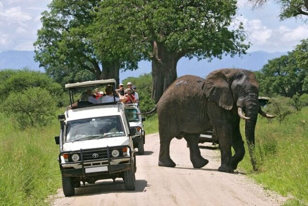 Best East Africa Safari Companies, East Africa tour operator, Best East African Safari, Best East Africa Safari tours, Best tour company for African Safari. Places to visit in Kajiado, Getaway places in Kajiado, Hidden gems in Kajiado, Things to do in Kajiado, Places to stay in Kajiado. 3 Days Serengeti safari, 3-day Serengeti safari from Arusha, 3 day safari Tanzania Serengeti, Serengeti safari tour 3 days, 3 days Serengeti safari itinerary. Luxury 8 Days Tanzania Safari Exclusive Tour, Best Private Tanzania Southern Circuit Safari, Exclusive 8 day safari Tanzania, Tanzania 8-day safari private tour, Private 8 days Tanzania safari itinerary. 6 Days Tanzania Safari Private Tour, Luxury 6 days safari Tanzania, Exclusive 6 days Tanzania camping safari, Private 6 days Tanzania Northern circuit safari, luxury 5 nights 6 days Tanzania Northern circuit safari