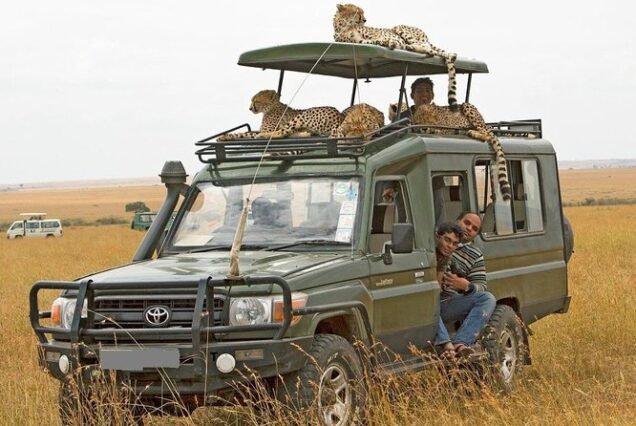 Best East Africa Safari Companies, East Africa tour operator, Best East African Safari, Best East Africa Safari tours, Best tour company for African Safari. 6 Days Tanzania Safari Private Tour, Luxury 6 days safari Tanzania, Exclusive 6 days Tanzania camping safari, Private 6 days Tanzania Northern circuit safari, luxury 5 nights 6 days Tanzania Northern circuit safari