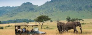 Best East Africa Safari Companies, East Africa tour operator, Best East African Safari, Best East Africa Safari tours, Best tour company for African Safari. Places to visit in Marsabit, Marsabit County tourist attractions, Things to do in Marsabit, Best places to stay in Marsabit County, Where is Marsabit located in Kenya