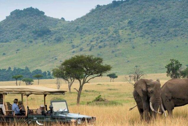 Best East Africa Safari Companies, East Africa tour operator, Best East African Safari, Best East Africa Safari tours, Best tour company for African Safari. Places to visit in Marsabit, Marsabit County tourist attractions, Things to do in Marsabit, Best places to stay in Marsabit County, Where is Marsabit located in Kenya. 3 Days Samburu Safari, 3 Days Samburu Safari Luxury tour, Samburu Tour, Samburu luxury lodges, 3 Days Samburu flying safari 