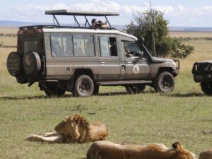 The Best Eco-Friendly Tour Companies In Kenya- Guardians Of The Wild • Naicef Best Eco-Friendly Tour Companies In Kenya, Top 10 best eco-friendly tour operators in Kenya, Best sustainable tour operators in Kenya, Responsible tour companies in Kenya, environmentally friendly tour companies in Kenya