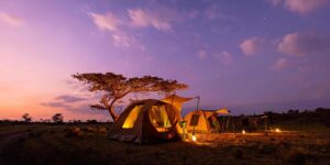 Camping safari Kenya, Kenya safari camp, Best safari camp in Kenya, Best Kenya safari itinerary, Best camping tours safari 