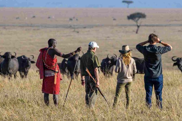 Walking Safaris In Kenya, Kenya Walking Tour, Walking Tours Nairobi, Walking safari in Africa, walking safari tours in Kenya Mgahinga Gorilla National Park, Batwa cultural experience, Gorilla trekking in Mgahinga National Park, Golden monkey tracking Uganda, Mgahinga Gorilla National Park tour. 3-Day Samburu Safari walking tour in Kenya, Exclusive Safari walking tours, Personalised African Safari walking tours, Private Walking safari tours, Luxury Multi-day walking safari tours