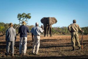 Walking Safari Tours In Kenya ~ Naicef • Naicef Walking Safaris In Kenya, Kenya Walking Tour, Walking Tours Nairobi, Walking safari in Africa, walking safari tours in Kenya