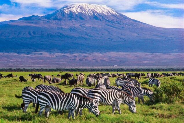 Why visit Kenya, reasons to visit kenya, Visit Kenya Africa, Kenya travel for first time visitors, Kenya trip cost. Amboseli National Park Luxury Safari, Amboseli Luxury Private Safari, Amboseli Luxury Lodges, Amboseli Safari Tour, Safari Amboseli Kenya
