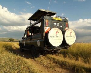 best tour companies in Kenya, Tour Companies Nairobi, Best safari companies in Kenya, Best safari tour operators in Kenya, Tours and Safaris companies in Kenya