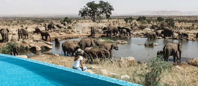best wellness Safari tours in Kenya, wellness Safari tours, Wellness Safaris in Kenya, best wellness safaris, safari wellness in Kenya