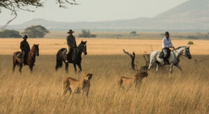 Best places to go for horse riding in Kenya best horse riding safaris in Kenya horse riding in Kenya horse riding places in Kenya horse riding in Nairobi 1