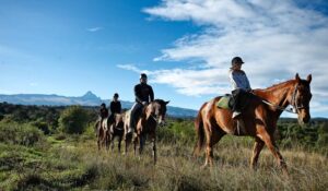 Best places to go for horse riding in Kenya, best horse riding safaris in Kenya, horse riding in Kenya, horse riding places in Kenya, horse riding in Nairobi