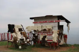 Curio shops in Kenya, Curio shops in Nairobi, African curio shops, Gift shops in Kenya, Curio shop business in Kenya