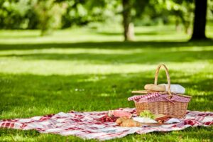 One Day Picnic Package Tour ~ Naicef • Naicef One Day Picnic Package, Picnic Tour, Picnic Package, Picnic proposal package, Picnic Karura Forest