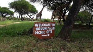 Picnic sites in Kenya, Best Picnic places in Kenya, Picnic places in Nairobi,, Picnic places in Kenya with friends, Picnic destinations in Kenya