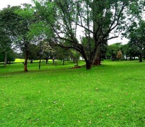 Picnic sites in Kenya, Best Picnic places in Kenya, Picnic places in Nairobi, Picnic places in Kenya with friends, Picnic destinations in Kenya.