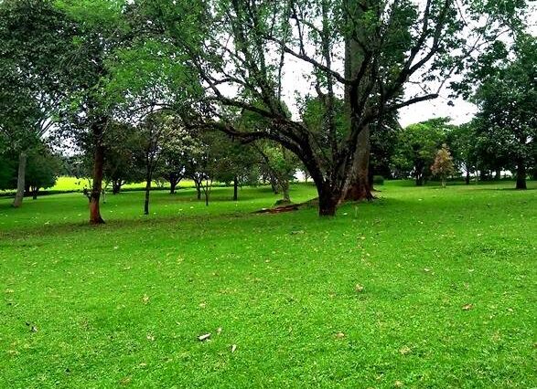 Picnic sites in Kenya, Best Picnic places in Kenya, Picnic places in Nairobi, Picnic places in Kenya with friends, Picnic destinations in Kenya. One Day Picnic Package, Picnic Tour, Picnic Package, Picnic proposal package, Picnic Karura Forest