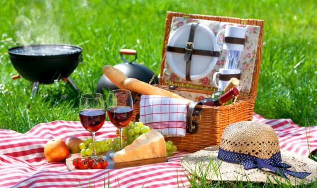 Picnic sites in Kenya, Best Picnic places in Kenya, Picnic places in Nairobi, Picnic places in Kenya with friends, Picnic destinations in Kenya. One Day Picnic Package, Picnic Tour, Picnic Package, Picnic proposal package, Picnic Karura Forest