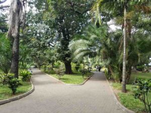 Picnic sites in Kenya, Best Picnic places in Kenya,, Picnic places in Nairobi, Picnic places in Kenya with friends,, Picnic destinations in Kenya.