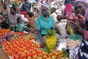 Places to visit in Nyeri Kenya, Fun places to visit in Nyeri, Tourist Attractions in Nyeri, Things to do in Nyeri, Best hotels in Nyeri