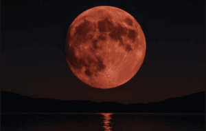 night sky experiences in Kenya, best astro-tourism destinations in Kenya, Stargazing in Kenya, Astro-tourism in Kenya, where to star gaze in Kenya