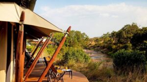 5 Days Masai Mara Amboseli Safari Luxury Tour • Naicef Masai Mara Amboseli Safari, Masai Mara luxury safari packages, Masai Mara luxury safari lodge, 2 Days Amboseli safari, Luxury lodge in Amboseli